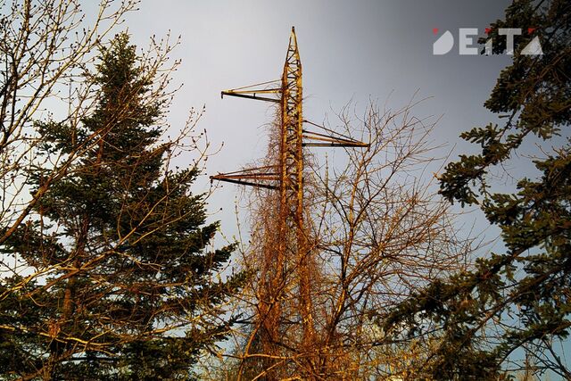 Приморье ставит на атом - ИА DEITA.RU, 10.04.2026