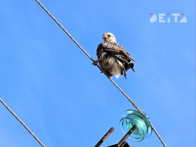 Пасхальное воскресенье принесет в Приморье потепление и сухую погоду - ИА DEITA.RU, 12.04.2026