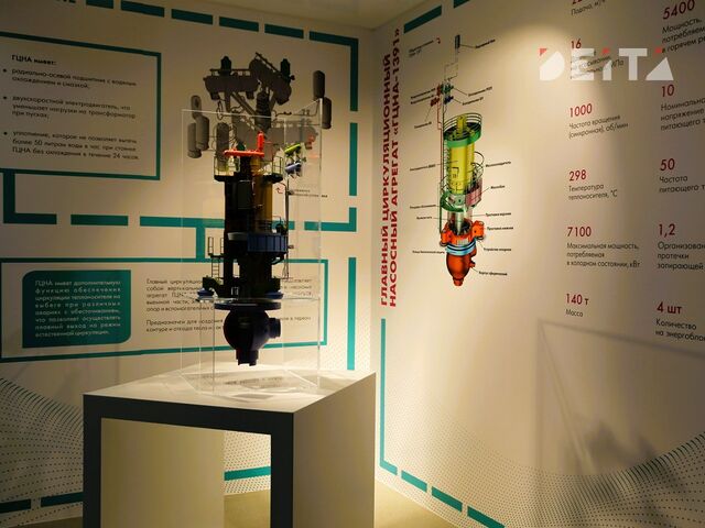 Поручение Путина, вулкан и мирный атом – приморцы хотят АЭС, но боятся - ИА DEITA.RU, 17.04.2026