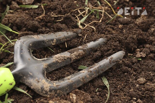 Ранняя высадка губит урожай - ИА DEITA.RU, 18.04.2026