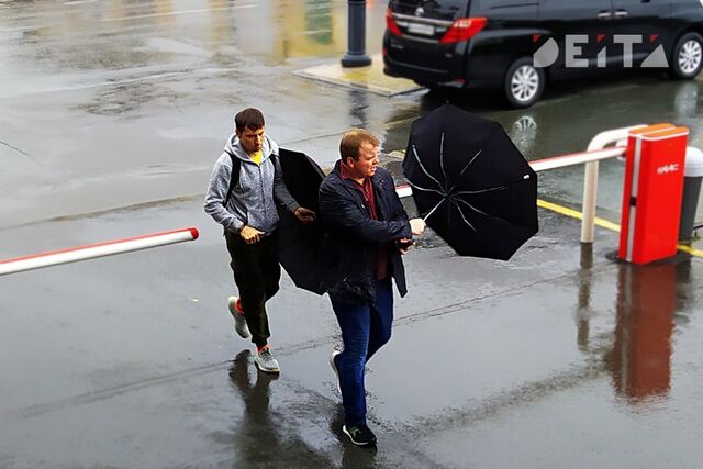 Владивосток встретит понедельник дождем и штормовым ветром - ИА DEITA.RU, 20.04.2026