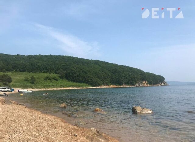 Земли партнёров приморского парламентария Текиева возвращают в муниципальную собственность - ИА DEITA.RU, 16.05.2026