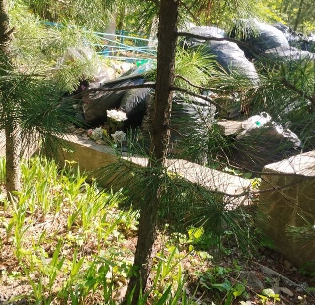 Мусорная катастрофа грозит крупнейшим кладбищам Владивостока - ИА DEITA.RU, 19.05.2026
