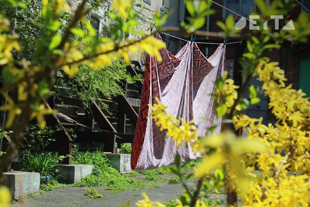 Теплая и сухая погода установится в Приморье в среду - ИА DEITA.RU, 20.05.2026