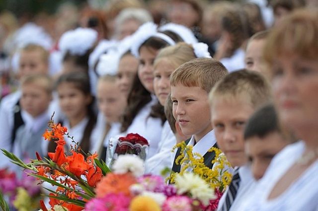 Выплату к школе предложили в ОП - ИА DEITA.RU, 11.07.2026