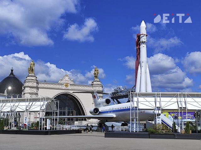 Стивен Сигал назвал главного мирового лидера - ИА DEITA.RU, 11.07.2026