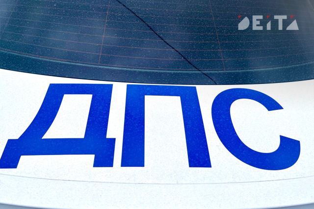 Свыше тысячи участников дорожного движения оштрафовали по итогам антиалкогольных рейдов в Приморье - ИА DEITA.RU, 10.08.2026