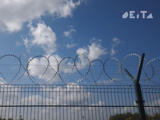 Арестован водитель, устроивший смертельное ДТП на Находкинском проспекте - ИА DEITA.RU, 11.08.2026