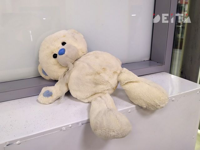 Уголовное дело возбуждено по факту угрозы терактом детскому центру во Владивостоке - ИА DEITA.RU, 11.08.2026