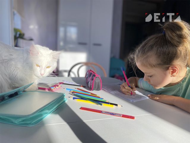Не все детские сады Владивостока успели подготовить к учебному году Не все детские сады Владивостока успели подготовить к учебному году - ИА DEITA.RU, 01.09.2026