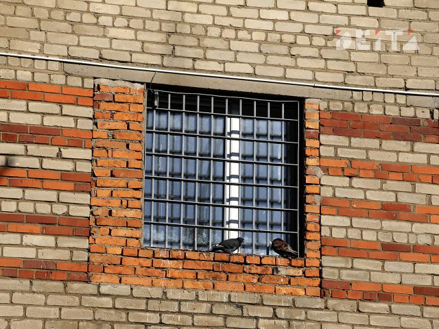 Хозяйке наркопритона вынесли приговор во Владивостоке Хозяйке наркопритона вынесли приговор во Владивостоке - ИА DEITA.RU, 17.09.2026