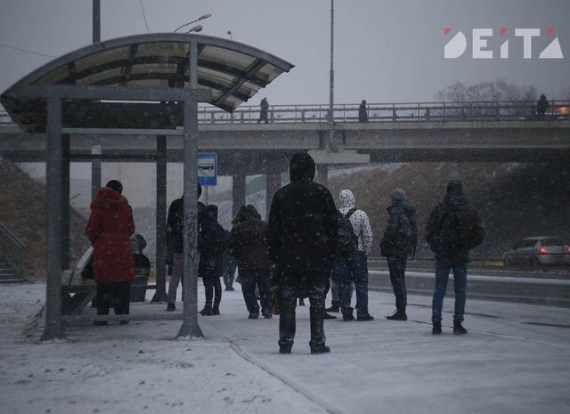 Контрольно-счётная палата Владивостока недовольна чиновниками, ответственными за общественный транспорт - ИА DEITA.RU, 22.10.2026