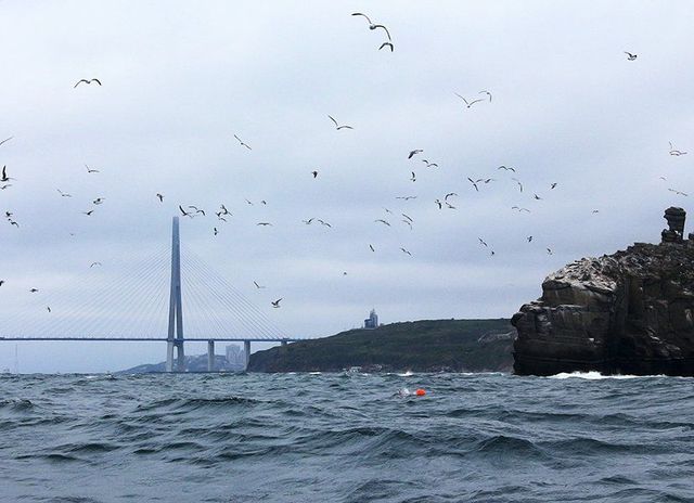 Первые ночные заморозки опустятся на Владивосток на этой неделе - ИА DEITA.RU, 26.10.2026
