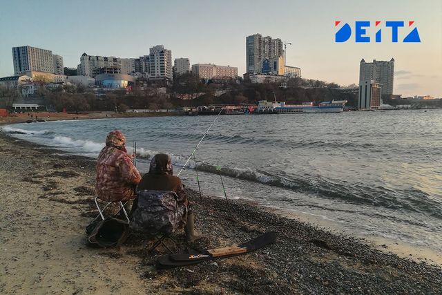 Более 1,8 га новой территории хотят создать около МГУ - ИА DEITA.RU, 29.10.2026
