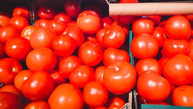 Цены на помидоры и мясо в Хабаровске сравнялись - Transsibinfo, 20.05.2024