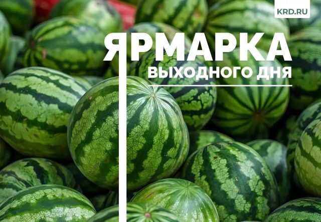 15 августа в Краснодаре заработают четыре ярмарки выходного дня - МОЙ КРАСНОДАР, 15.08.2026