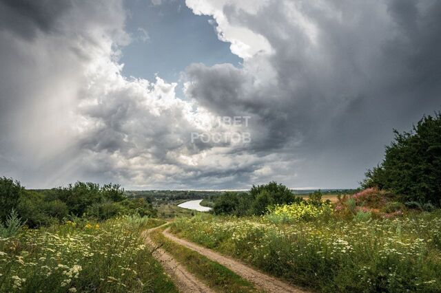 Красоты Ростовской области от Ирины Васильевой - Privet-Rostov.ru, 19.08.2025