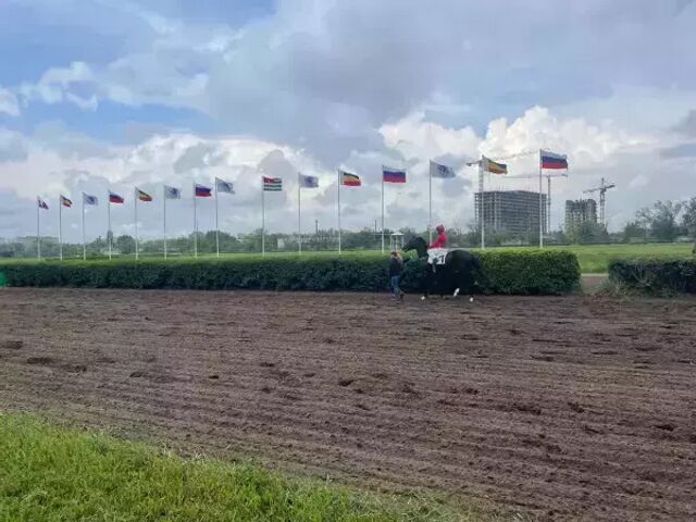 Ростовский ипподром официально перешел в собственность государства - Новости Ростова|DonDay, 09.06.2026