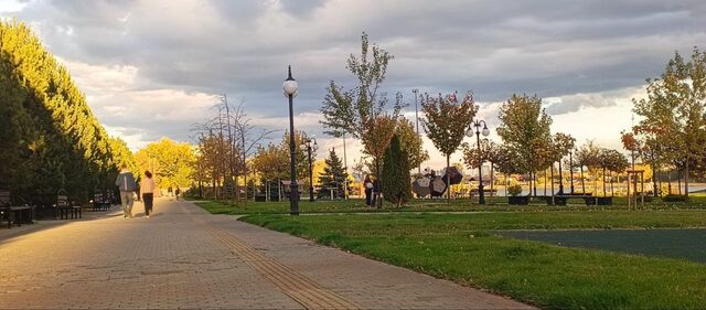 Осень показывает свой характер: в Краснодарском крае снова зафиксированы заморозки Осень показывает свой характер: в Краснодарском крае снова зафиксированы заморозки - Югополис, 31.10.2025