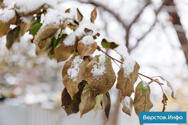 Дождь и снег обрушатся на Челябинскую область в ближайшие сутки. - Новости Магнитогорска Верстов.Инфо, 19.11.2025