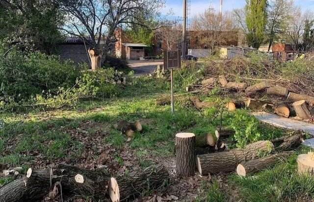🪵 Уголовное дело возбудили из-за незаконной вырубки деревьев в районе Тополиной аллеи в Краснодаре. - Кубанские новости, 03.07.2025