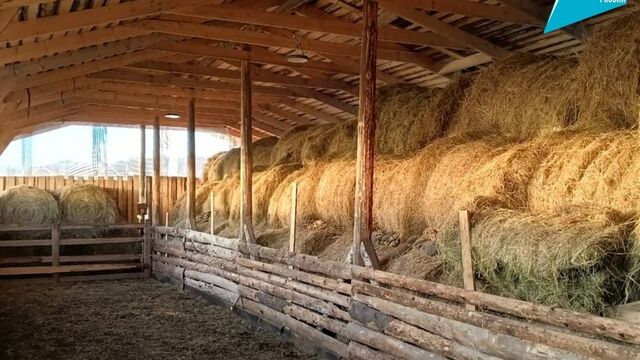 Более 1 900 соцконтрактов заключили жители Хабаровского края с начала текущего года - Восток-Медиа | Новости Приморья и Владивостока, 19.11.2025