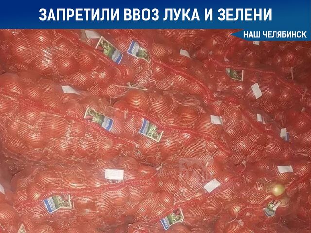 В Челябинскую область запретили ввоз 35 тонн импортного лука и зелени. - Наш Челябинск, 02.09.2025