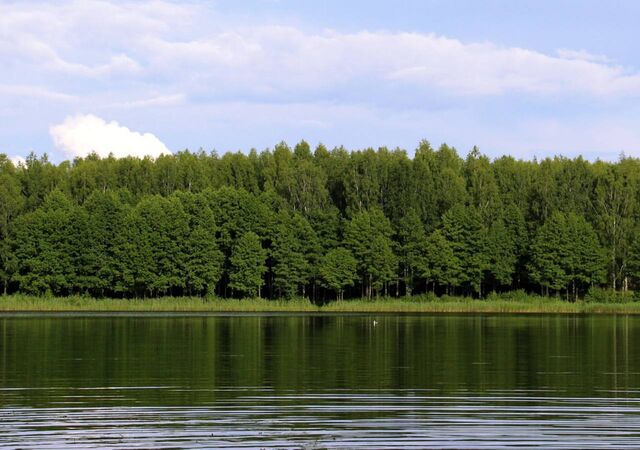 Четвертый класс пожароопасности установился в трех нижегородских округах - Новости Нижнего Новгорода - Живем в Нижнем, 28.07.2025