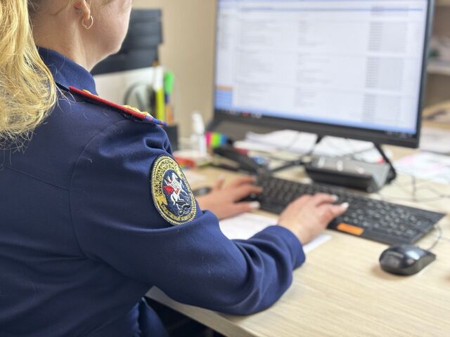 СК проводит проверку после нападения собаки на ребенка в Кстовском районе - Новости Нижнего Новгорода - Живем в Нижнем, 01.08.2025