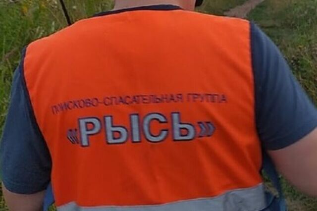Волонтеры искали 187 пропавших человек в Нижегородской области в июле - Новости Нижнего Новгорода - Живем в Нижнем, 06.08.2025