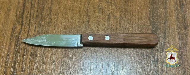 Житель поселка Ковернино задержан за угрозу убийством сожительнице - Новости Нижнего Новгорода - Живем в Нижнем, 22.02.2026