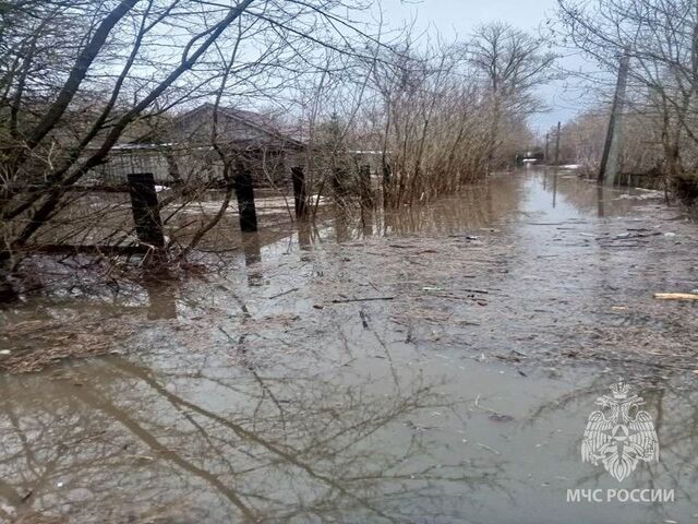 63 дома и 14 мостов затопило из-за паводка в Нижегородской области - Новости Нижнего Новгорода - Живем в Нижнем, 11.04.2026
