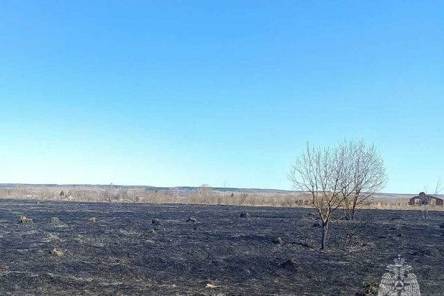 40 000 «квадратов» сухой травы сгорело в Нижегородской области за сутки - Новости Нижнего Новгорода - Живем в Нижнем, 16.04.2026