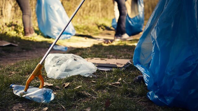 Нижегородцев научили защите от мышиной лихорадки и клещей на субботниках - Новости Нижнего Новгорода - Живем в Нижнем, 16.04.2026