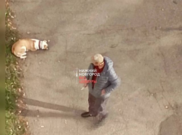 Мужчина с ножом напугал нижегородцев на улице Львовской - Новости Нижнего Новгорода - Живем в Нижнем, 22.10.2026