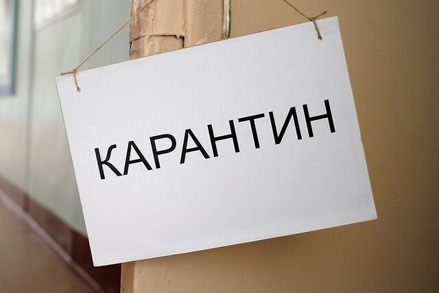 - Вспышка бешенства зафиксирована в московском Щукине, объявлен карантин - Новости Уфы сегодня, происшествия, ЧП и ДТП, 19.11.2025