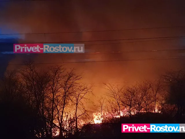 Пожар на Аксайском рынке могла спровоцировать плохая электро-проводка - Privet-Rostov.ru -  Главные новости Ростова и Ростовской области, 17.09.2024