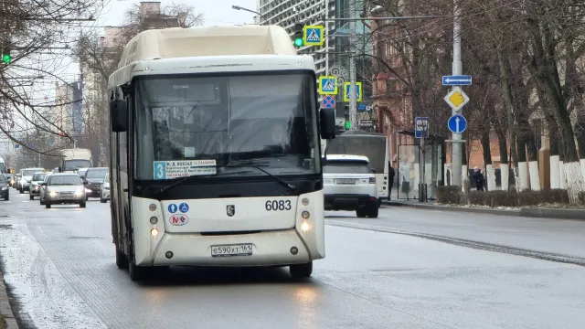 В Узбекистане для Ростова дептранс ищет 100 водителей автобусов - Privet-Rostov.ru -  Главные новости Ростова и Ростовской области, 10.03.2025