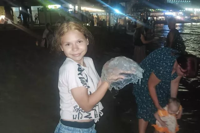 Несколько дней не могут найти 13-летнюю девочку в Ростовской области - Privet-Rostov.ru -  Главные новости Ростова и Ростовской области, 04.07.2025