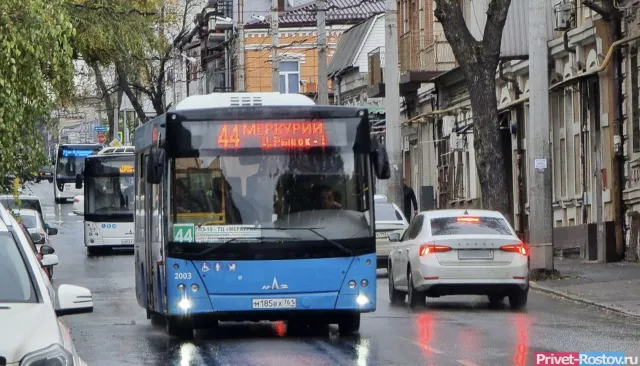 Власти посчитали всех водителей-иностранцев на автобусах в Ростове - Privet-Rostov.ru -  Главные новости Ростова и Ростовской области, 04.07.2025