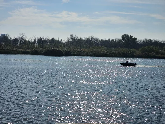 Роспотребнадзор проверил и не нашел опасных вирусов в водоемах Дона - Privet-Rostov.ru -  Главные новости Ростова и Ростовской области, 05.07.2025