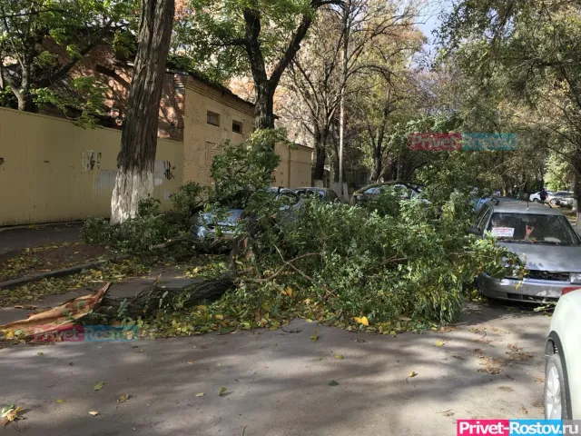 Ростовскую область накроет мощный шторм на три дня - Privet-Rostov.ru -  Главные новости Ростова и Ростовской области, 30.07.2025