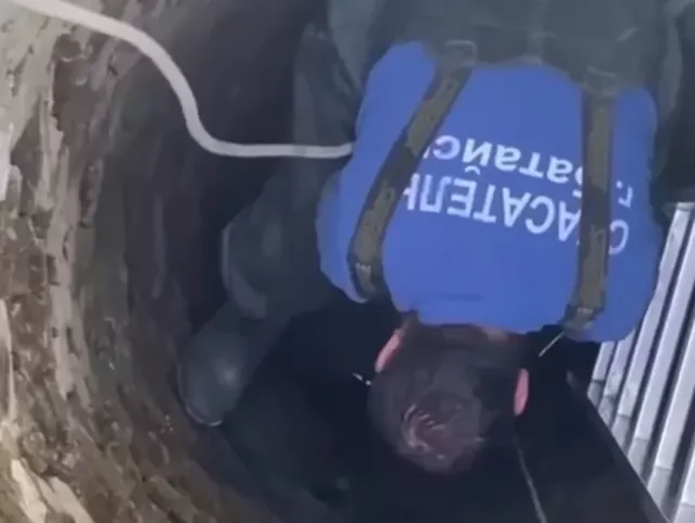 В Батайске спасли собаку, провалившуюся в глубокий колодец - Privet-Rostov.ru -  Главные новости Ростова и Ростовской области, 12.08.2025