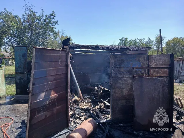 Подростки устроили пожар за гаражом в станице Новороговской - Privet-Rostov.ru -  Главные новости Ростова и Ростовской области, 14.08.2025