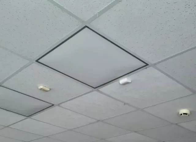 Следком проверит школу в Сальске после обрушения потолка - Privet-Rostov.ru -  Главные новости Ростова и Ростовской области, 05.10.2025