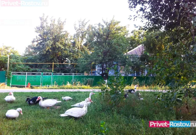 В Ростовской области назвали населенные пункты с жуткими топонимами В Ростовской области назвали населенные пункты с жуткими топонимами - Privet-Rostov.ru - Главные новости Ростова и Ростовской области, 04.11.2025