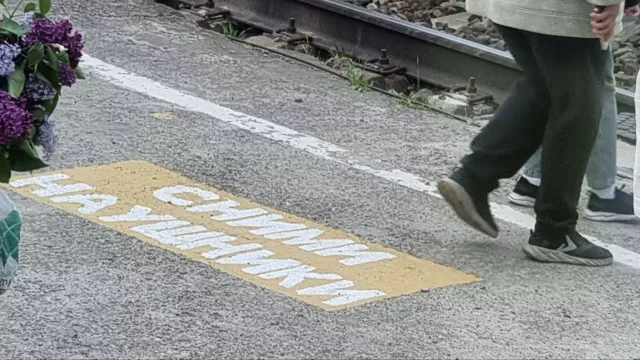 В Ростовской области на ЖД путях погибла женщина 4 ноября В Ростовской области на ЖД путях погибла женщина 4 ноября - Privet-Rostov.ru - Главные новости Ростова и Ростовской области, 04.11.2025