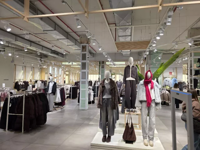 Ростовский бренд Al clothes оказался в эпицентре скандала из-за плохой работы - Privet-Rostov.ru -  Главные новости Ростова и Ростовской области, 09.11.2025