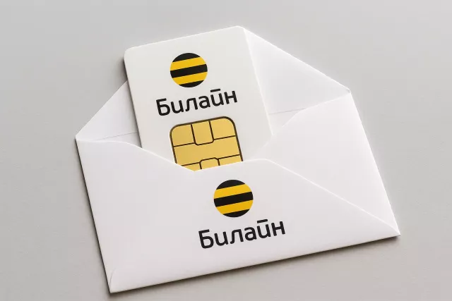 Билайн запустил экспресс-доставку СИМ-карт от 15 минут в партнёрстве с Самокатом - Privet-Rostov.ru -  Главные новости Ростова и Ростовской области, 11.11.2025