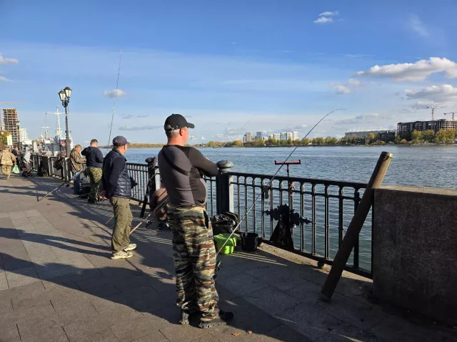 Учёные заявили о восстановлении популяции донской стерляди - Privet-Rostov.ru -  Главные новости Ростова и Ростовской области, 11.11.2025